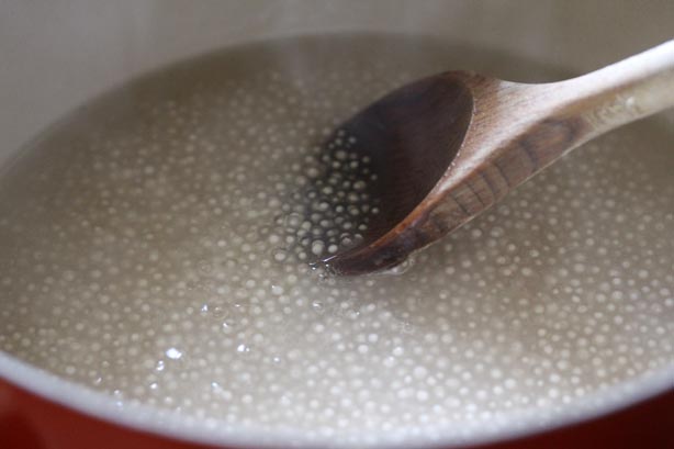 CoconutTapiocaRecipe